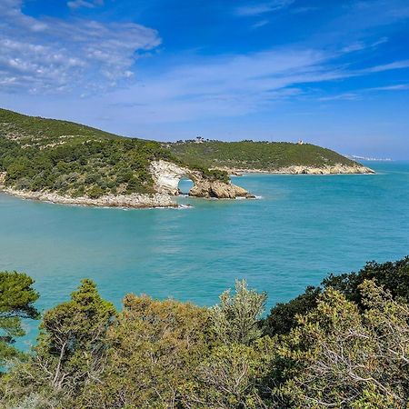 Villa Mapa - Appartamenti Vicino Al Mare Vieste Exterior foto