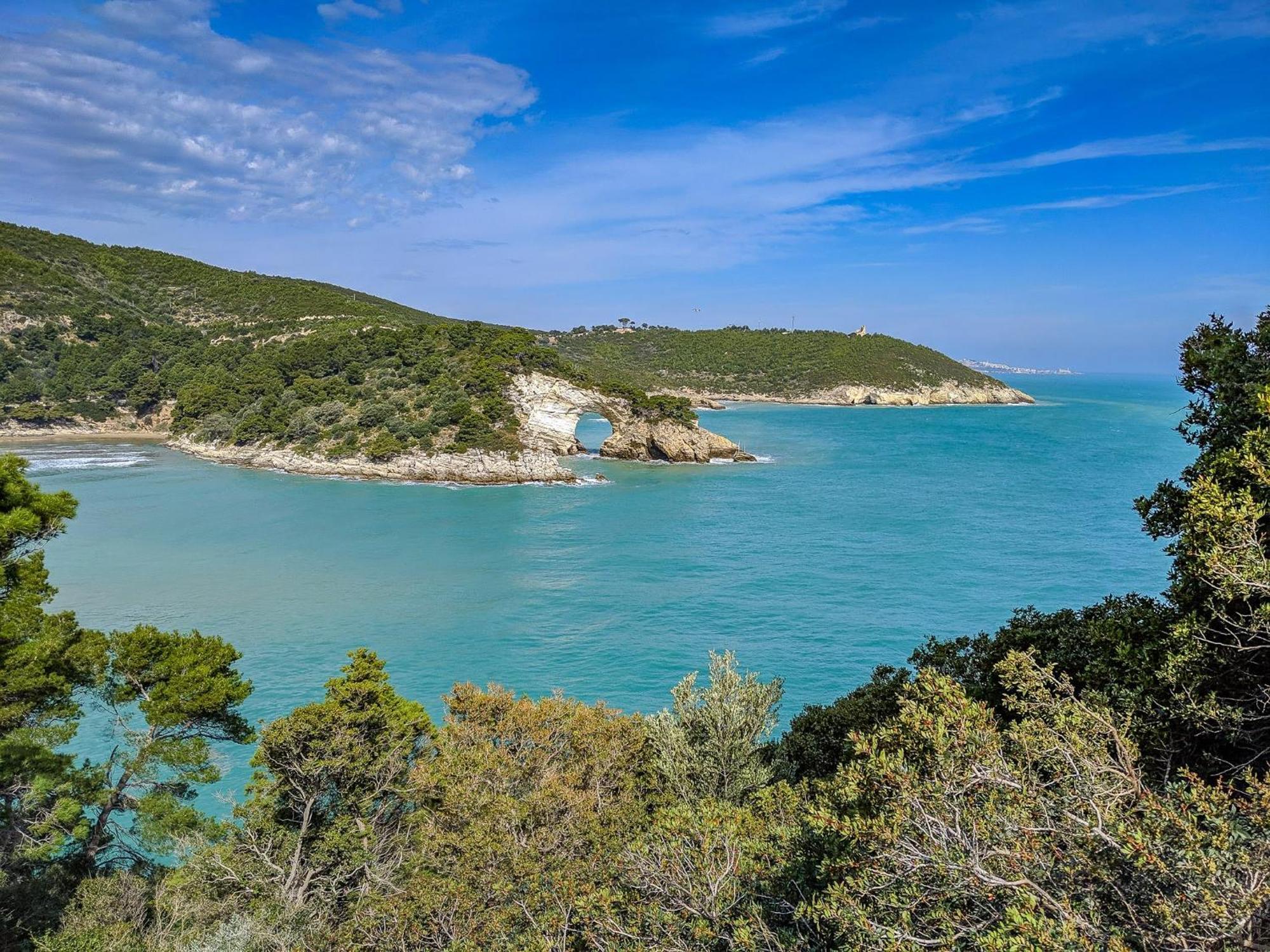 Villa Mapa - Appartamenti Vicino Al Mare Vieste Exterior foto