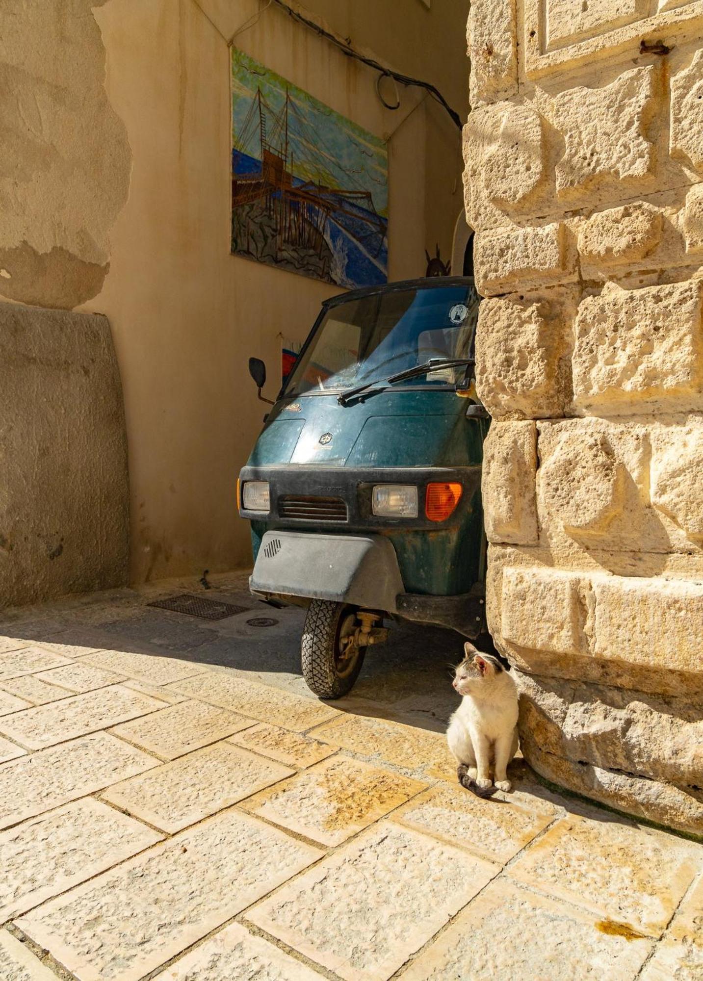 Villa Mapa - Appartamenti Vicino Al Mare Vieste Exterior foto