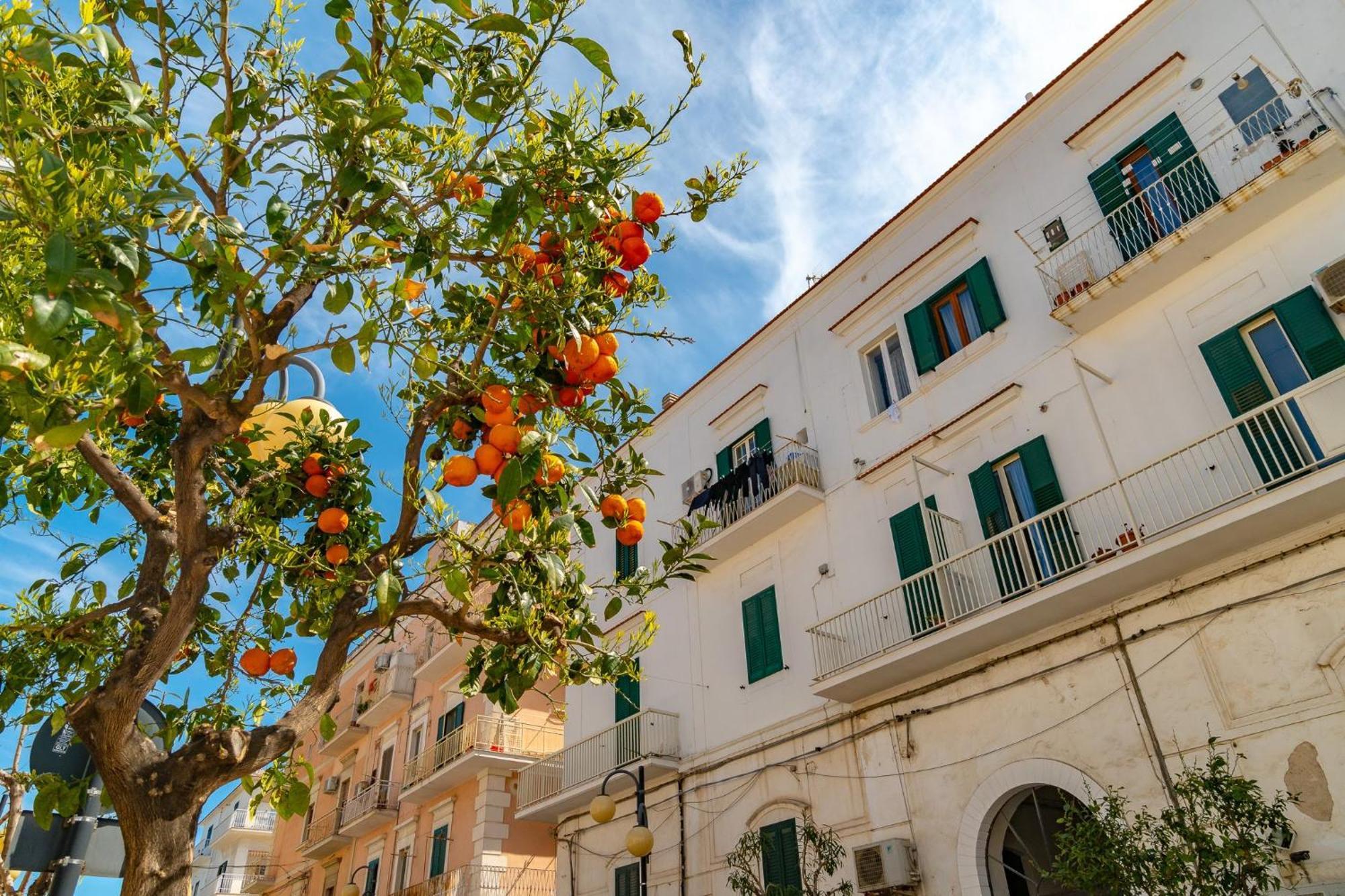 Villa Mapa - Appartamenti Vicino Al Mare Vieste Exterior foto